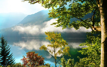Morning Mist, water, morning, lake, mist, graph, nature HD wallpaper