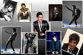 adam lambert pics!!!, ol, lo, lol HD wallpaper