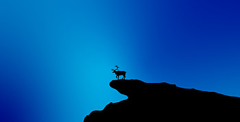 Reindeer, blue and silhouette, minimal HD wallpaper