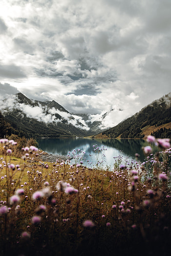 Nature, Sky, Mountains, Clouds, Lake, Wildflowers HD phone wallpaper