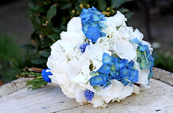 Flowers, Bouquet, Hydrangea, Muskari, Muscari HD wallpaper