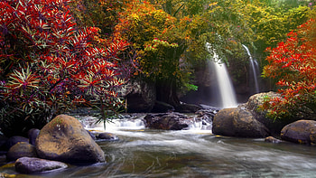 Autumn Waterfall, Fall, trees, waterfall, waterfalls, Autumn, water, rocks HD wallpaper