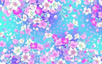 Blossom, Girly HD wallpaper
