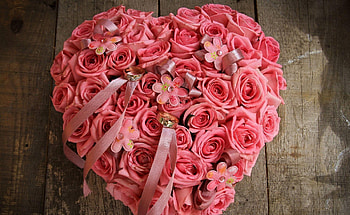 Flowers, Roses, Rings, Wood, Tree, Holiday, Buds, Heart HD wallpaper