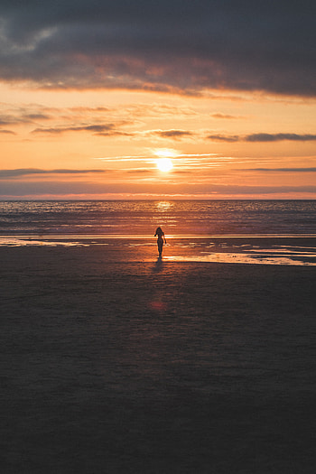 Alone, Nature, Sunset, Sea, Horizon, Shore, Bank, Silhouette, Lonely HD phone wallpaper