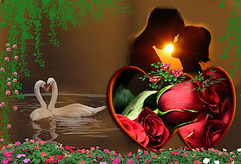 Two people in Love, flowers, redrose, heart, Swans, tree HD wallpaper