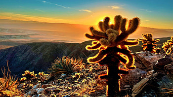 Golden Hour in Anza Borrego State Park, California, sky, usa, colors, landscape, joshua tree, clouds HD wallpaper