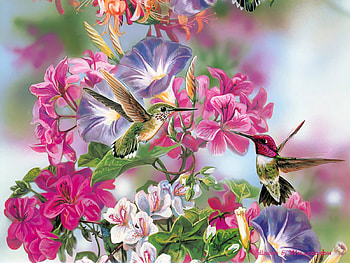 lovely hummingbirds, natur, flowers, birds, hummingbirds HD wallpaper