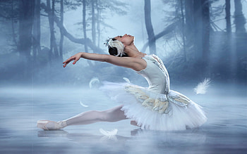 Beautiful Swan Ballerina, winter, softness, etheral, white, feminine, beautiful, Ballerina, woman, swan dance, dancing, lovely HD wallpaper