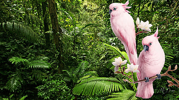 Color in the Jungle, pink, parrots, foiliage, bitds, green, trees, jungle, beauty HD wallpaper
