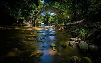 Bridge, river, water, forest HD wallpaper