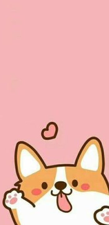 Corgi, cute, dog HD phone wallpaper