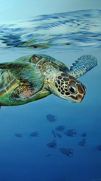 Turtle, Sea, Animal Turtle, animla turtle HD phone wallpaper