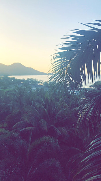 Costa Rica, Nature , Beauty landscapes, Latina beauty HD phone wallpaper