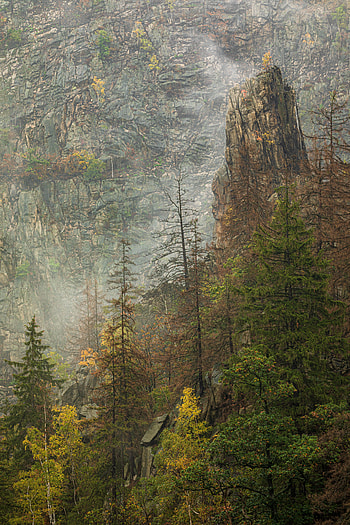 Nature, Trees, Rock, Fog HD phone wallpaper