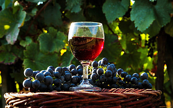 Wein , Stunning backgrounds, Goblet glass HD wallpaper