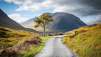 Road, grass, mountain, path HD wallpaper