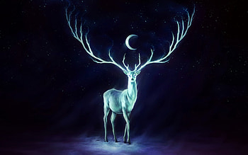 Deer Computer , Backgrounds | | ID:212704 HD wallpaper