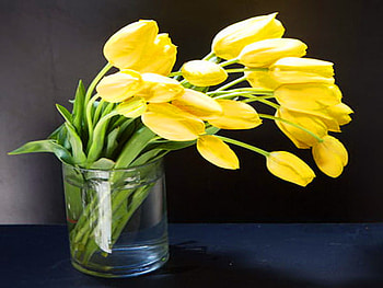 Tulip yellow, yellow, green, vase, flowers, tulips HD wallpaper