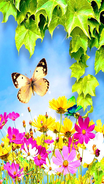 Springtime, leaf, butterfly, flower, artistic, spring HD phone wallpaper