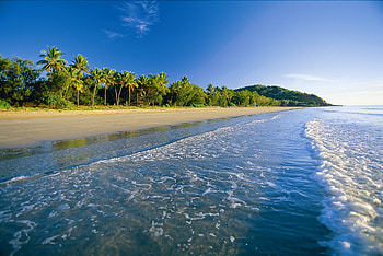 Sea, Nature, Beach, Sand, Palms, Foam, Tropics HD wallpaper