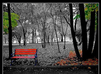half autumn half winter, winter, autumn HD wallpaper