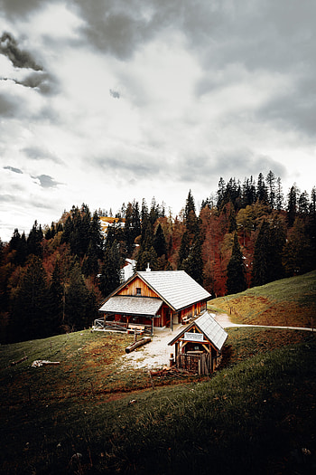 Nature, Trees, Building, Privacy, Seclusion, Forest, House HD phone wallpaper