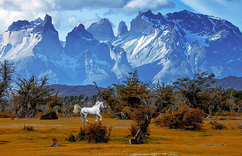 Torres del Paine National Park, Striking , Artistic graphy, John Thompson HD wallpaper
