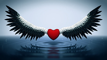 Heart With Wings, Angel heart, Blender artists community, Heavenly design HD wallpaper