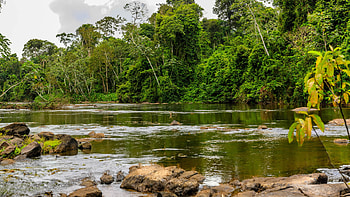 Suriname travels, Guyana expedition, Cultural immersion, Adventure tour HD wallpaper