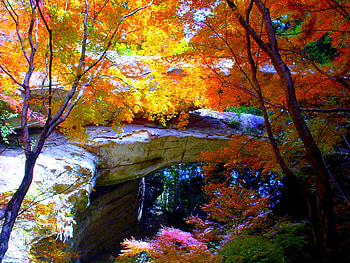 AUTUMN FOREST, bridge, stone, autumn, nature, forest HD wallpaper