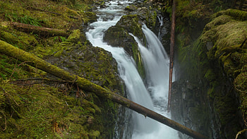 Sol Duc Falls, Olympic National Park, Washington, trees, cascades, river, rocks, usa HD wallpaper