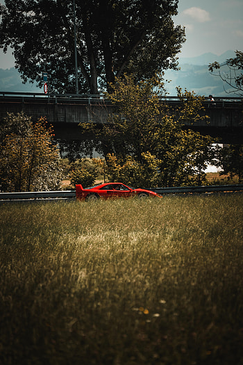 Sports, Cars, Car, Sports Car, Side View, Spoiler HD phone wallpaper