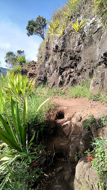 Reunion Island, Randonne au cap noir, Roche verre bouteille, Ocean adventures HD phone wallpaper