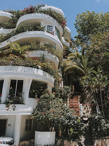 Tropical foliage adorns a unique curved apartment facade in Puerto Vallarta. HD phone wallpaper