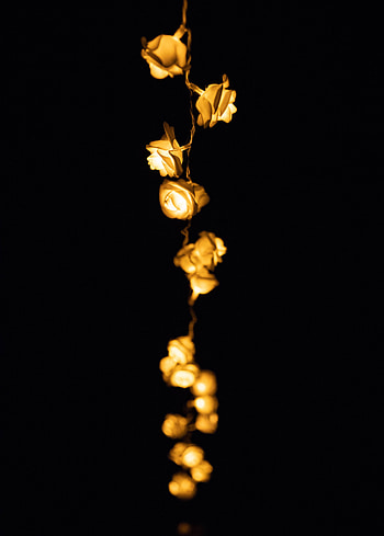 Roses, Dark, Shine, Light, Blur, Smooth, Lamp, Illumination, Lighting, Lamps HD phone wallpaper