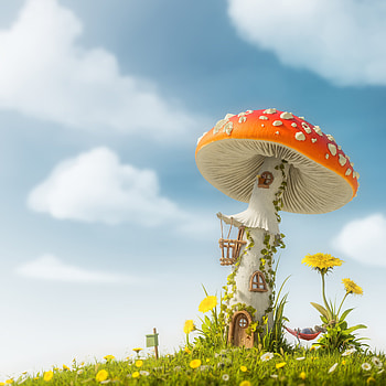 Amanita, Nature, Gurra, Tiny house HD phone wallpaper