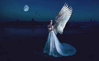 Angel, night, blue, wings, white, model, asian, girl, woman, feather, moon, fantasy, luna HD wallpaper