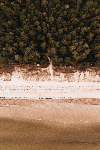 Nature, Sea, Beach, View From Above, Shore, Bank, Forest HD phone wallpaper