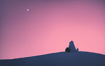 Snowy Paws Under Winter Stars Minimal , minimalism, minimalist, dog, winter, stars, artist, artwork, digital-art, deviantart HD wallpaper