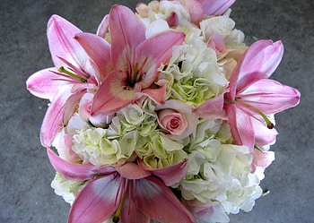Flowers, Roses, Lilies, Registration, Typography, Bouquet, Composition, Hydrangea HD wallpaper