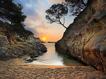 foot prints in the sand, trees, rocks, sunset, ocean, beach HD wallpaper