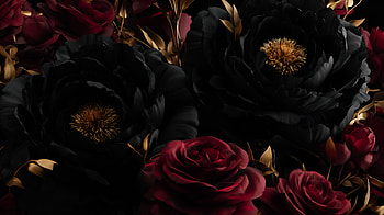 Crimson & Onyx Blooms — Quad Floral, Red And Black HD wallpaper