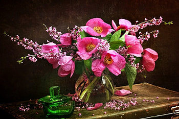 Still Life, petals, with love, nature, flowers, pink flowers HD wallpaper