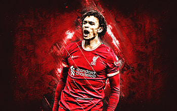 Trent Alexander-Arnold, soccer, alexander, taa, ynwa, lfc, arnold, football, liverpool HD wallpaper