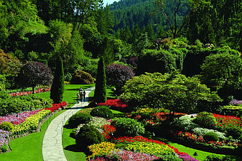 garden, beautiful, nature, green HD wallpaper