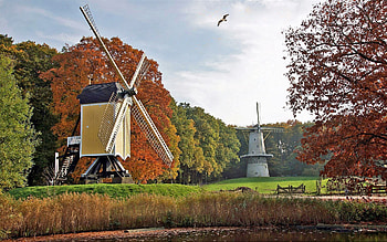 Windmills in Holland, autumn, trees, bird, windmills, Holland HD wallpaper