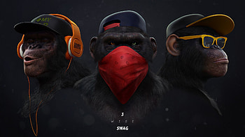 Three Wise Monkeys, Space Monkey HD wallpaper