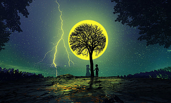 Stars, Night, Lightning, Love, Wood, Couple, Pair, Tree, Silhouettes HD wallpaper
