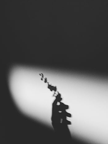 Artistic monochrome of a silhouette hand holding eucalyptus branches against a shadowed background. HD phone wallpaper